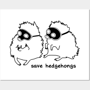 hedgehongs Posters and Art